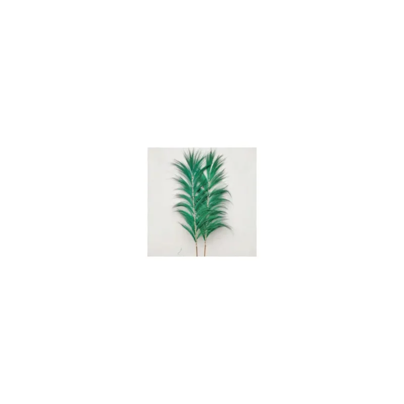 Rayung Grønt Palme - 1,6m