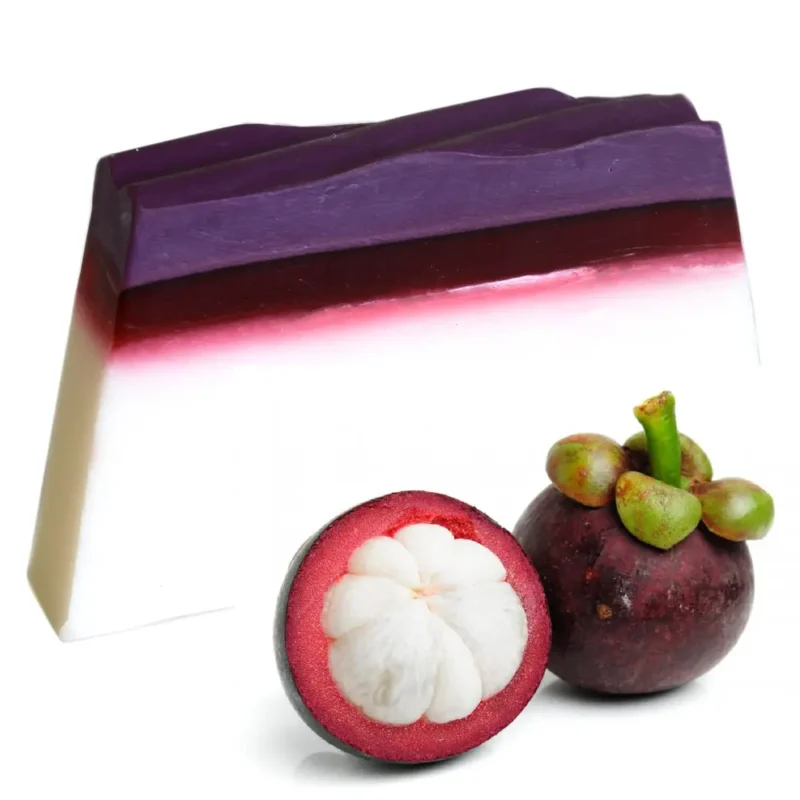 Tropisk paradis sæbe - Mangosteen