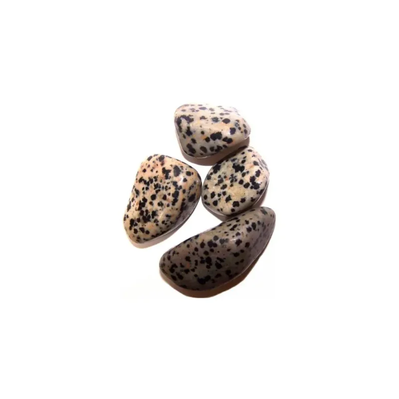 L Tumble Stones - Dalmatiner