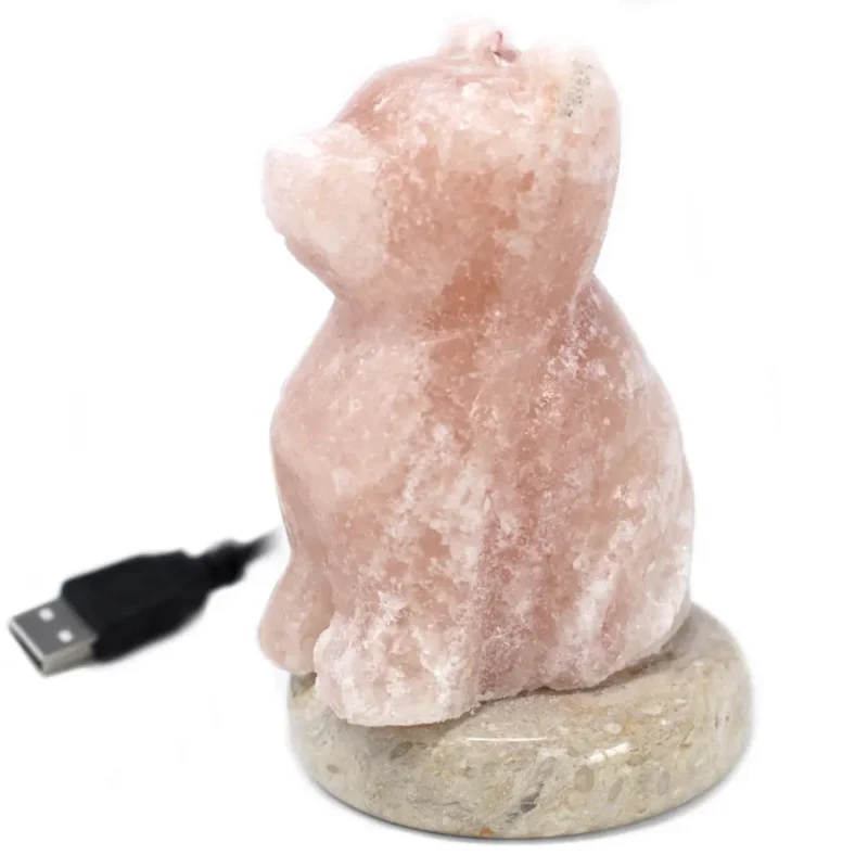 USB Saltlampe - Hund