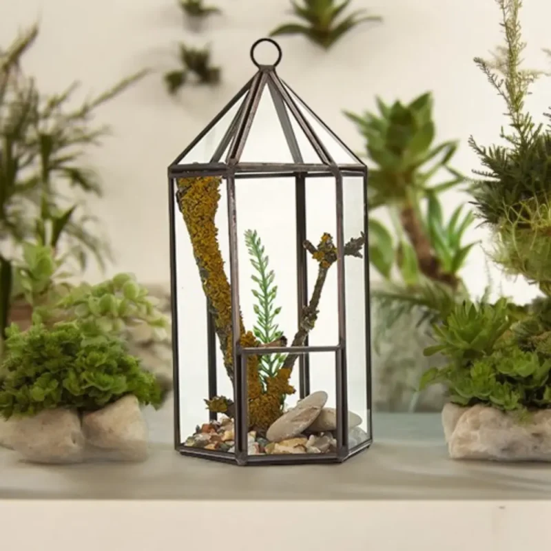 Glas Terrarium - Lanterne
